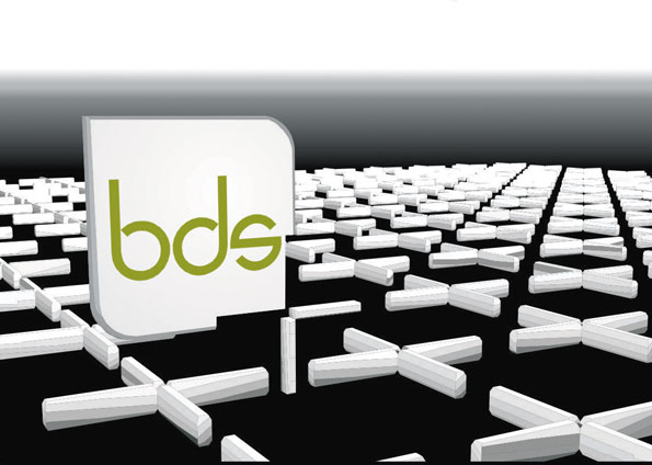 bds plus field
